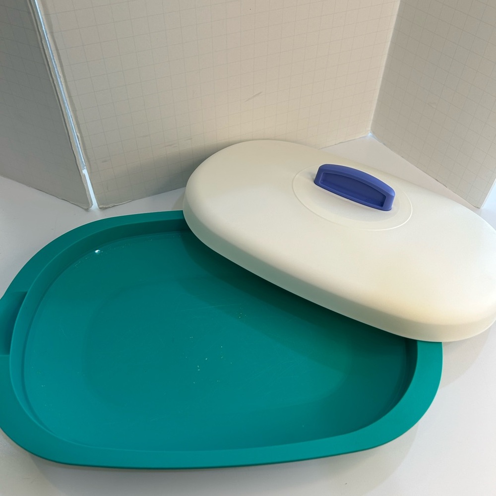 Tupperware Serving Dish